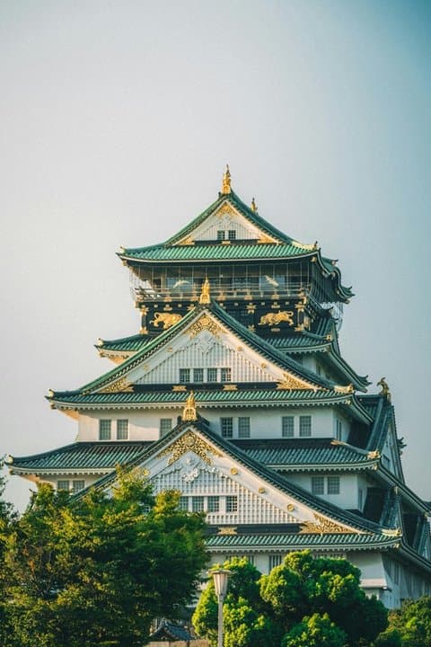 Historic Japanese castle amid greenery