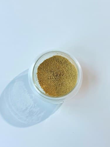 Hojicha — Light Roasted matcha powder